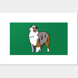 Australian Shepherd Posters and Art